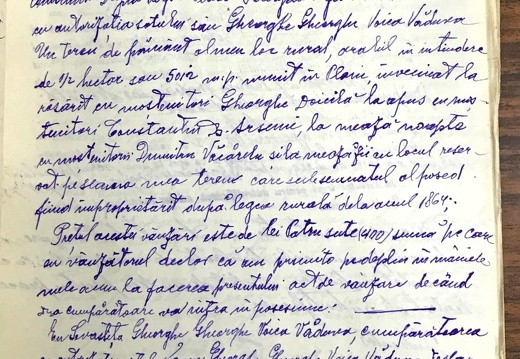 Document de vânzare - Gheorghe Voica Văduva